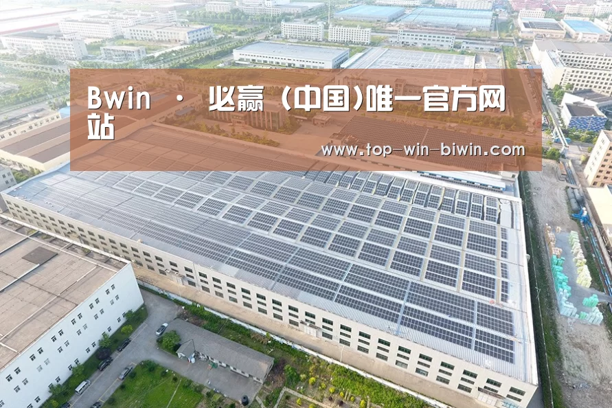 案例展示二