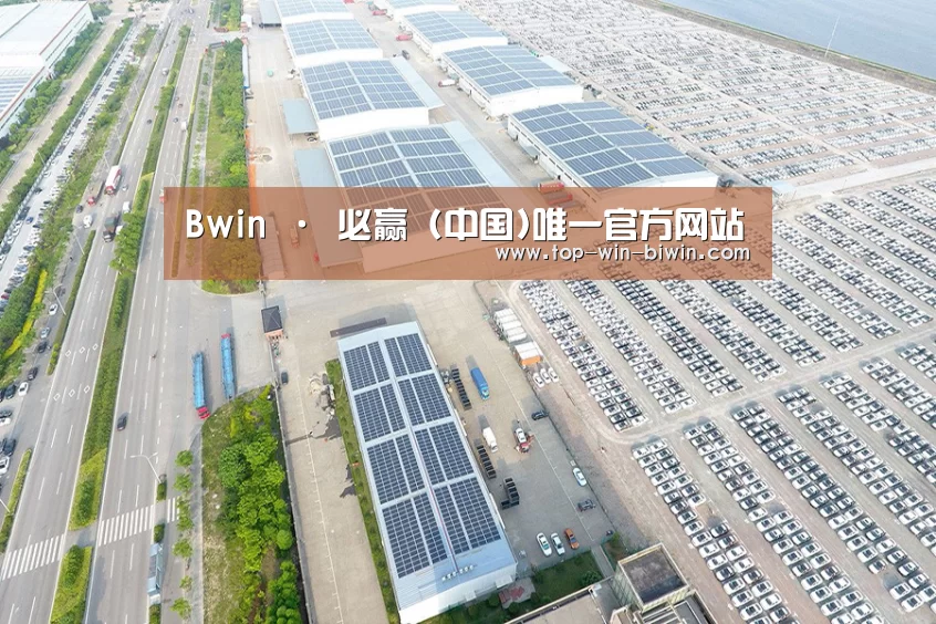 案例展示一