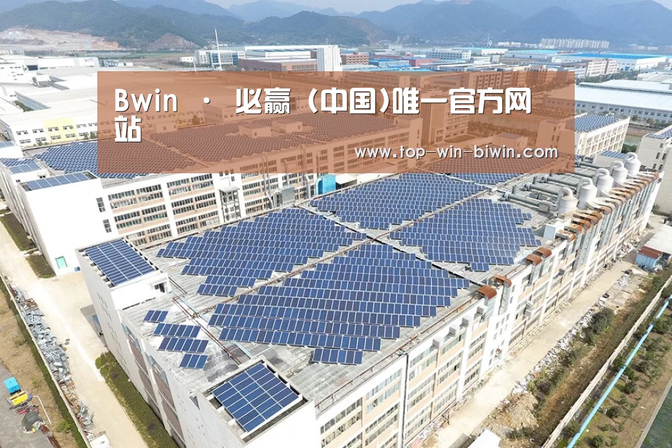 案例展示三