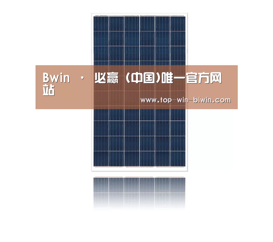 产品名称一
