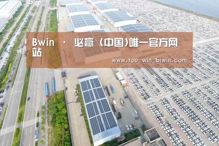 案例展示一
