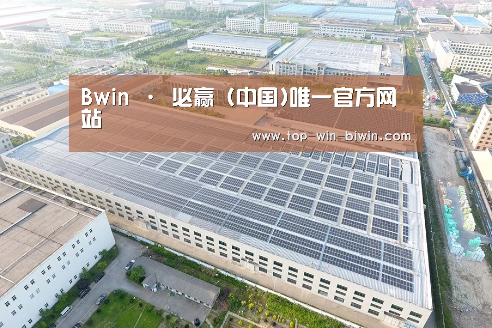 案例展示三