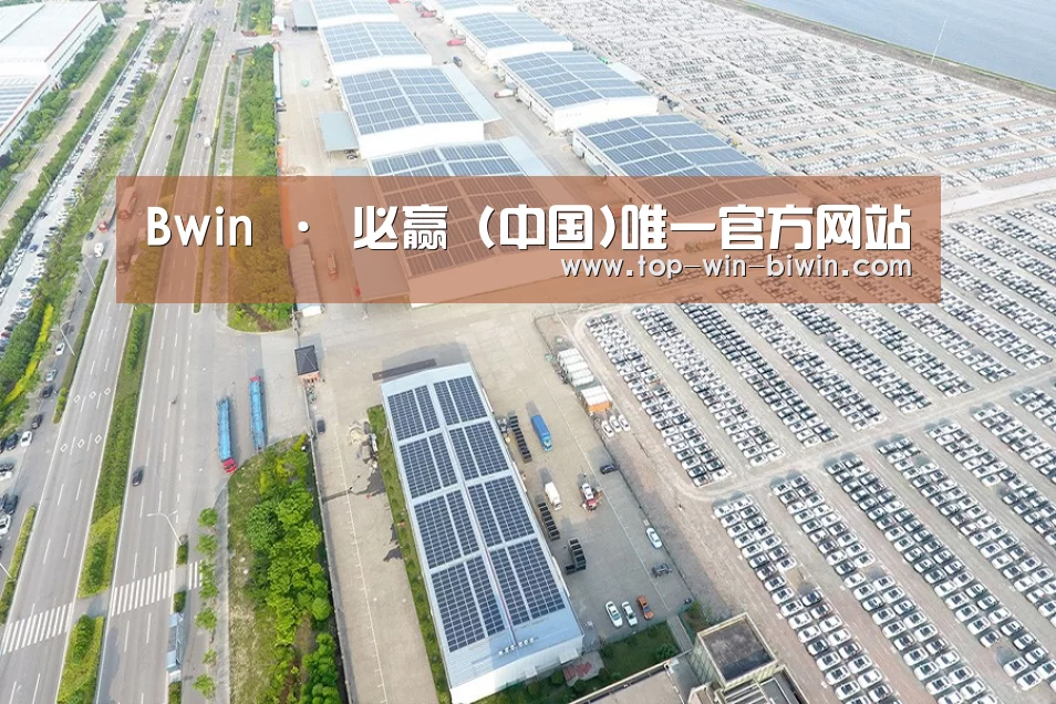 案例展示二