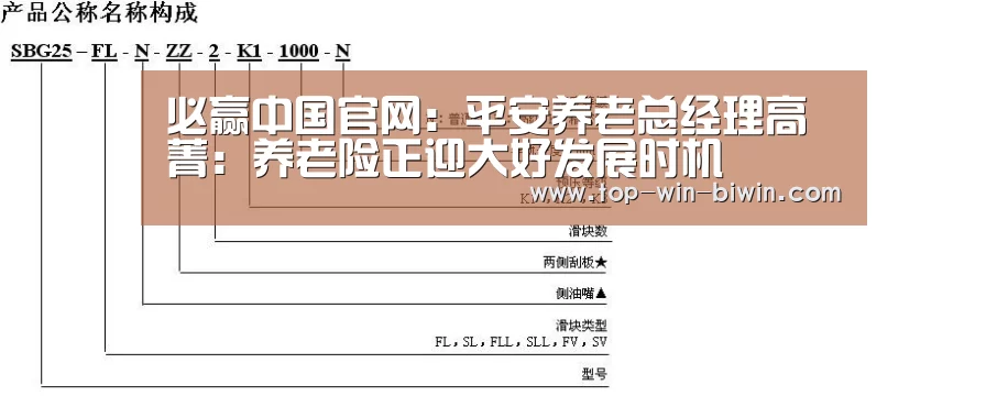 必赢中国官网:平安养老总经理高菁:养老险正迎大好发展时机(图3) 必赢中国官网