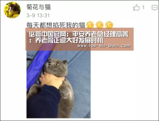 必赢中国官网:平安养老总经理高菁:养老险正迎大好发展时机(图1) 必赢bwin