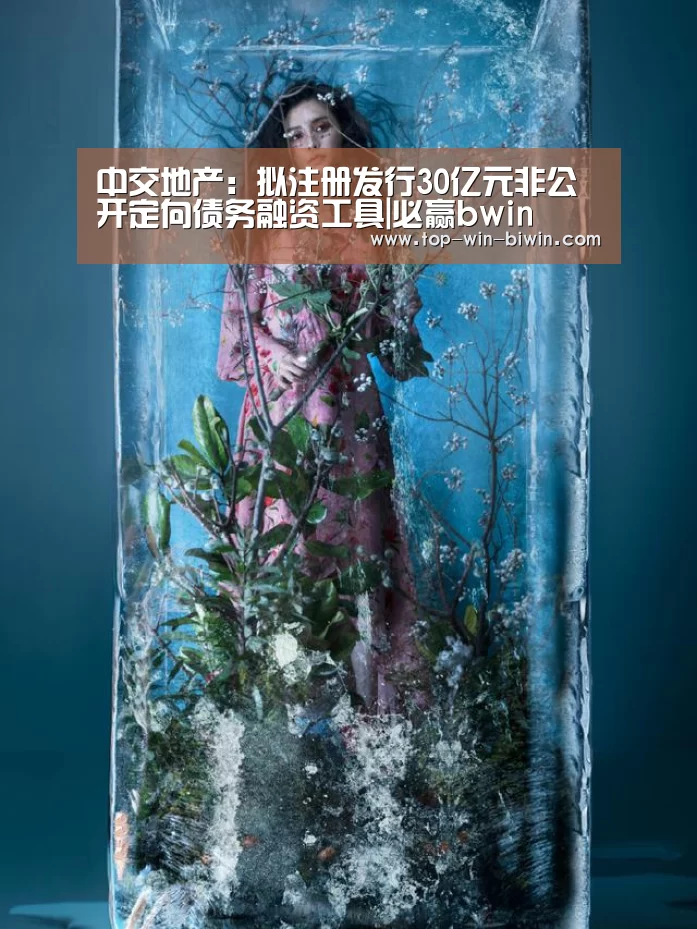 中交地产:拟注册发行30亿元非公开定向债务融资工具|必赢bwin(图3) 必赢bwin