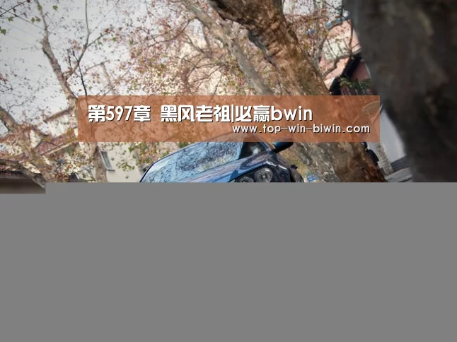 第597章 黑风老祖|必赢bwin(图1) 必赢中国官网
